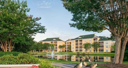 Resort condo close to all Myrtle Beach ameneties with pool and gym facilities