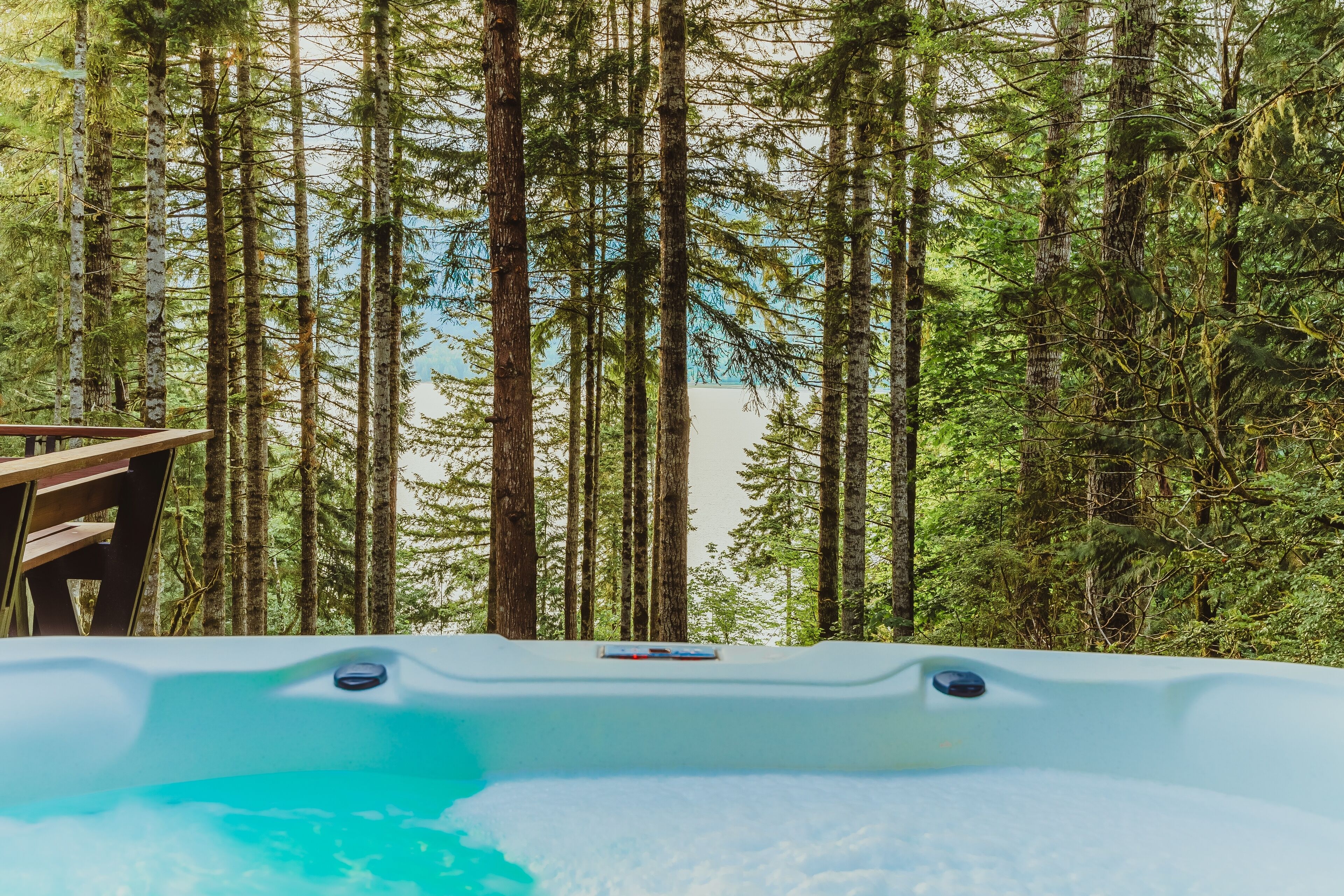 Een hottub omringd door hoge bomen.