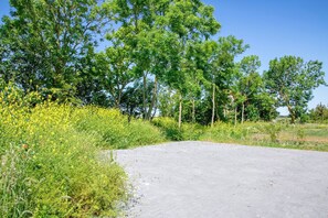 Stroll through lush gardens along a winding pathway surrounded by tall trees and vibrant flowers.