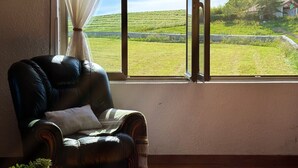 Un sillón de cuero con un cojín, ubicado junto a una ventana con vistas a un campo verde y edificios lejanos.