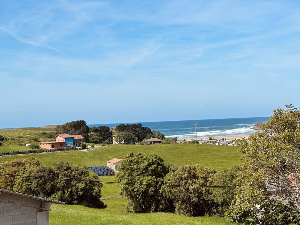 A coastal landscape with houses, a grassy field, and the ocean.