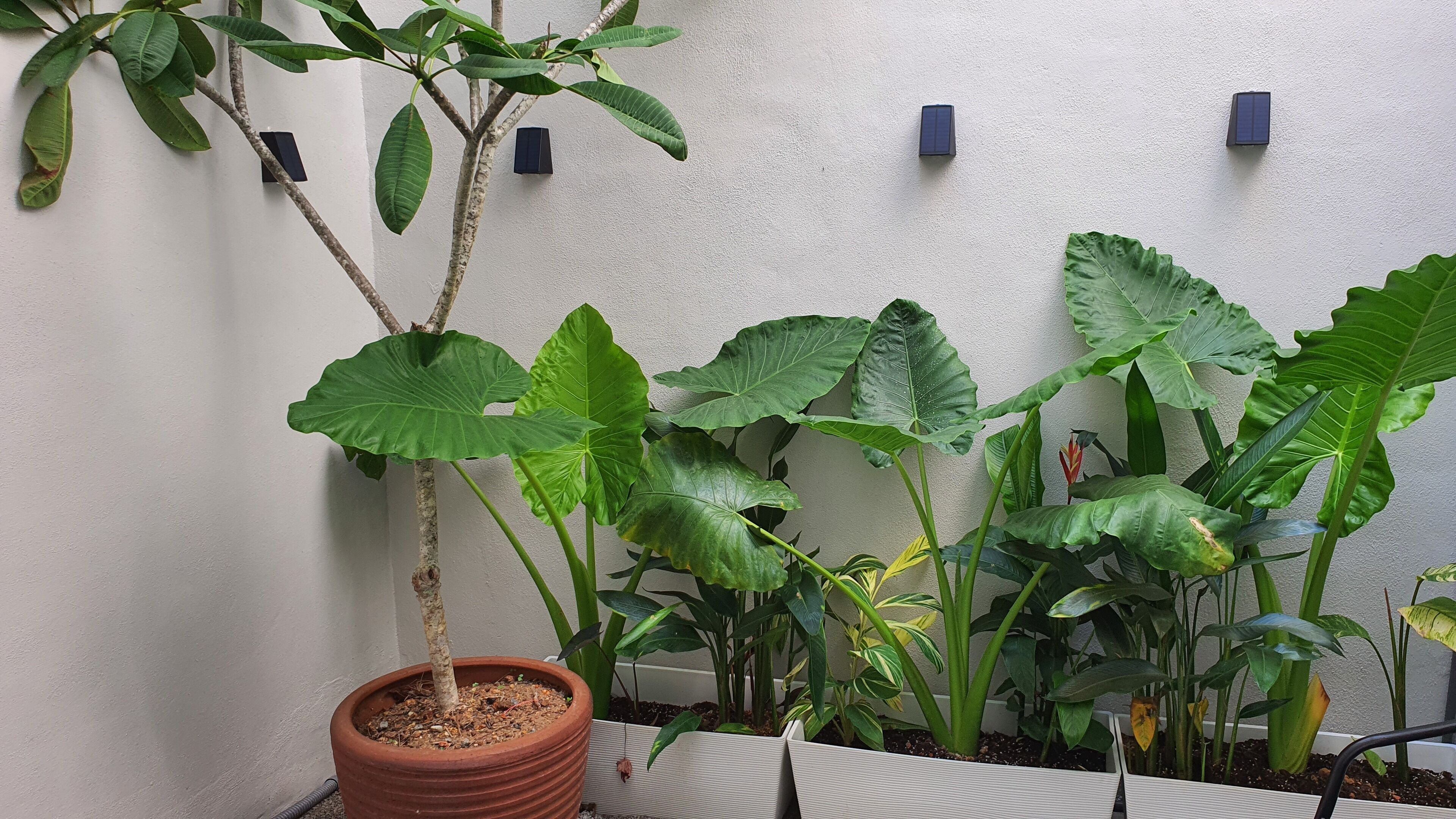 Áreas de la propiedad