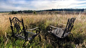 Deux bancs de parc en métal noir se trouvent dans un champ herbeux, avec une rangée d’arbres à l’horizon et un ciel dégagé.
