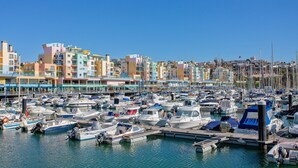 Una marina con numerose imbarcazioni ormeggiate, circondata da edifici colorati.