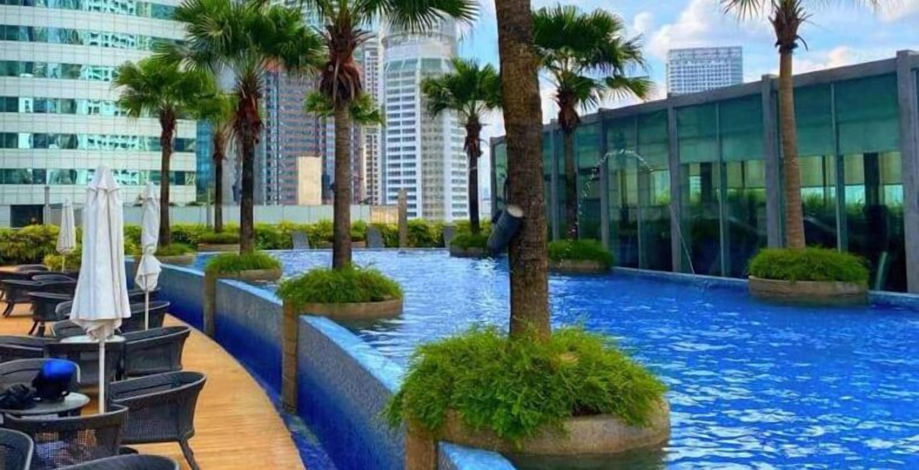 Área de piscina en la azotea con sillones de descanso y palmeras, rodeada de edificios modernos.