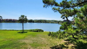 A lakeside view with a grassy area, a palm tree, and a pine tree. - Litchfield by the Sea - 3 BR Villa - View of Heron Marsh Lake (Pawleys Island)