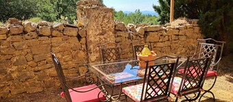 Room in a Provençal bastidon