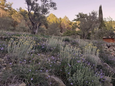 Property grounds. Room in a Provençal bastidon