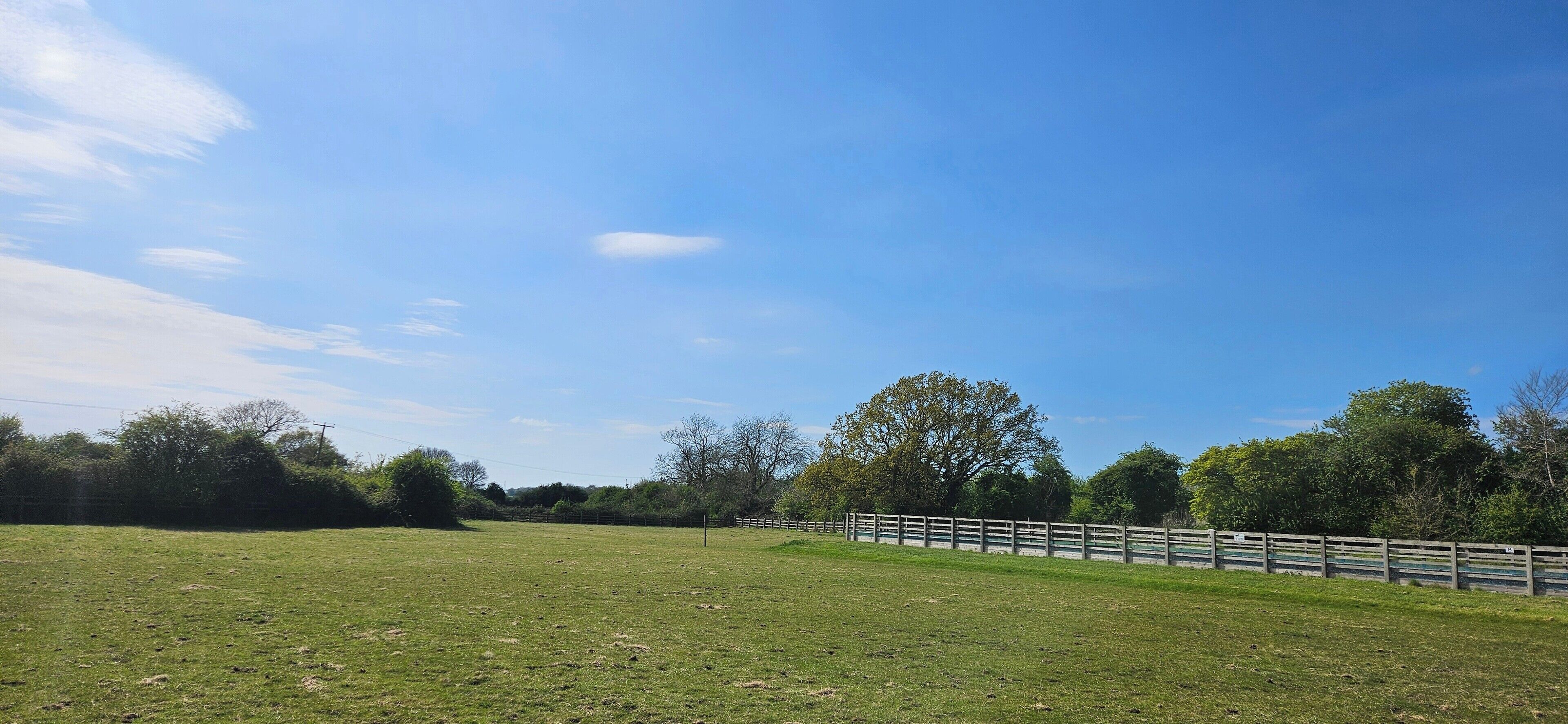 A grassy field with a wooden fence and trees in the background.