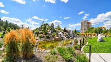 Àrea exterior de l'allotjament