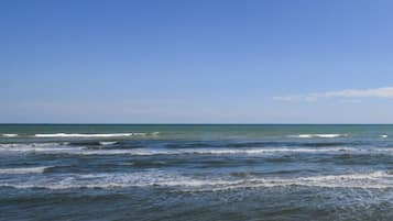 Playa en los alrededores