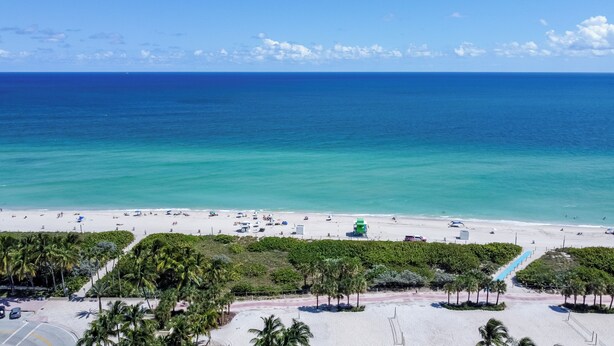 A beach with a clear view of the ocean, palm trees, and a lifeguard tower. - Remodeled Beachfront Studio w/ Beach Essentials. Just steps from the beach!  (Miami Beach)