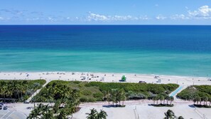 A beach with a clear view of the ocean, palm trees, and a lifeguard tower. - Remodeled Beachfront Studio w/ Beach Essentials. Just steps from the beach!  (Miami Beach)