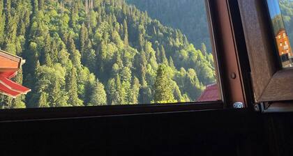Ayder Wooden Rooms