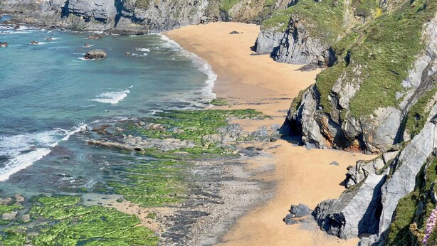 Beach - The Cliffs - ViveMare (Viveiro)