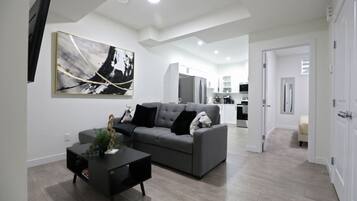 智能電視、壁爐、書籍