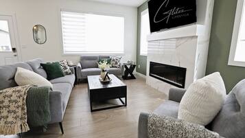 Smart TV, fireplace, books