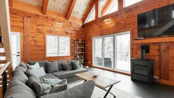 TV, fireplace, books, stereo