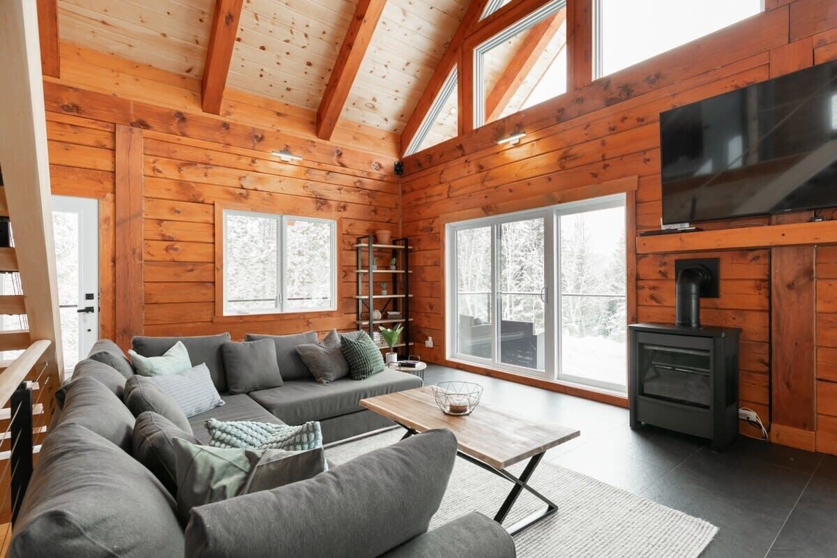 Télévision, cheminée, livres, chaîne hi-fi