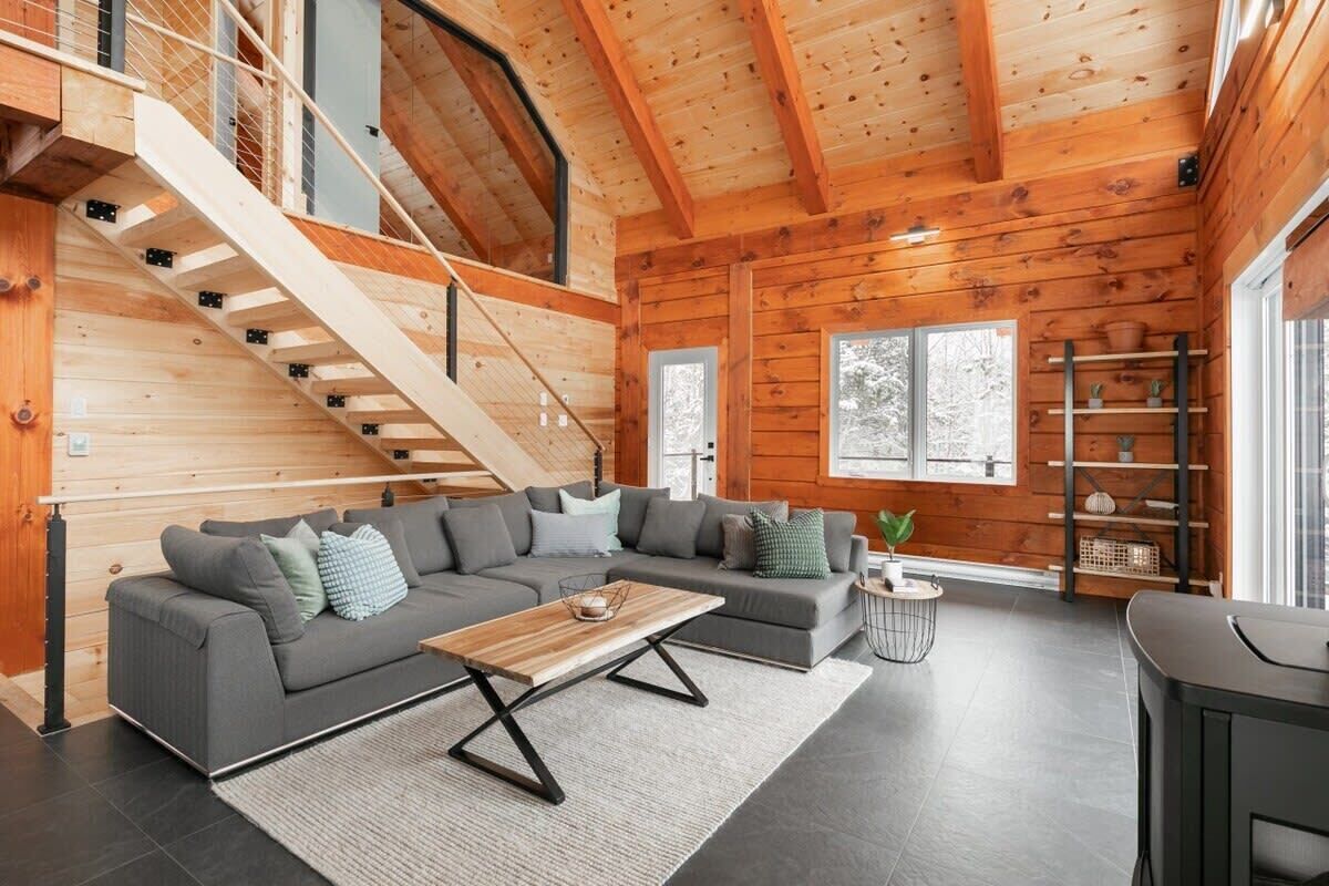 Télévision, cheminée, livres, chaîne hi-fi