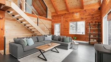 Télévision, cheminée, livres, chaßne hi-fi