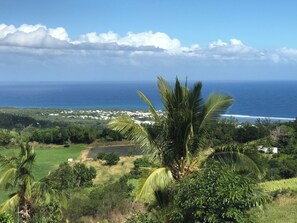 A coastal landscape with a view of the ocean, palm trees, and a distant village.