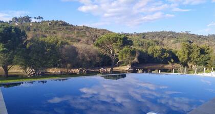 Riverside retreat: 3 bedroom getaway on the river Mondego.