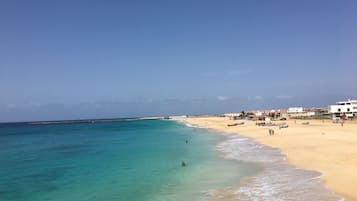Lettini da mare