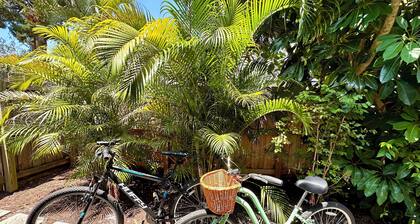 Bright Spacious Home Near Downtown, Restaurants, Shopping & Beaches