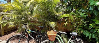 Bright Spacious Home Near Downtown, Restaurants, Shopping & Beaches