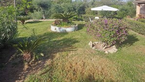 A garden with various plants and a white umbrella. - Eleni's House by Corfuescapes (Corfu)