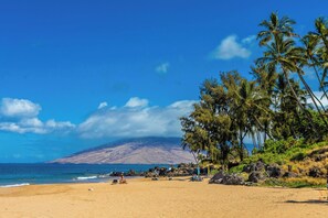 A beach with clear skies, palm trees, and a distant mountain.