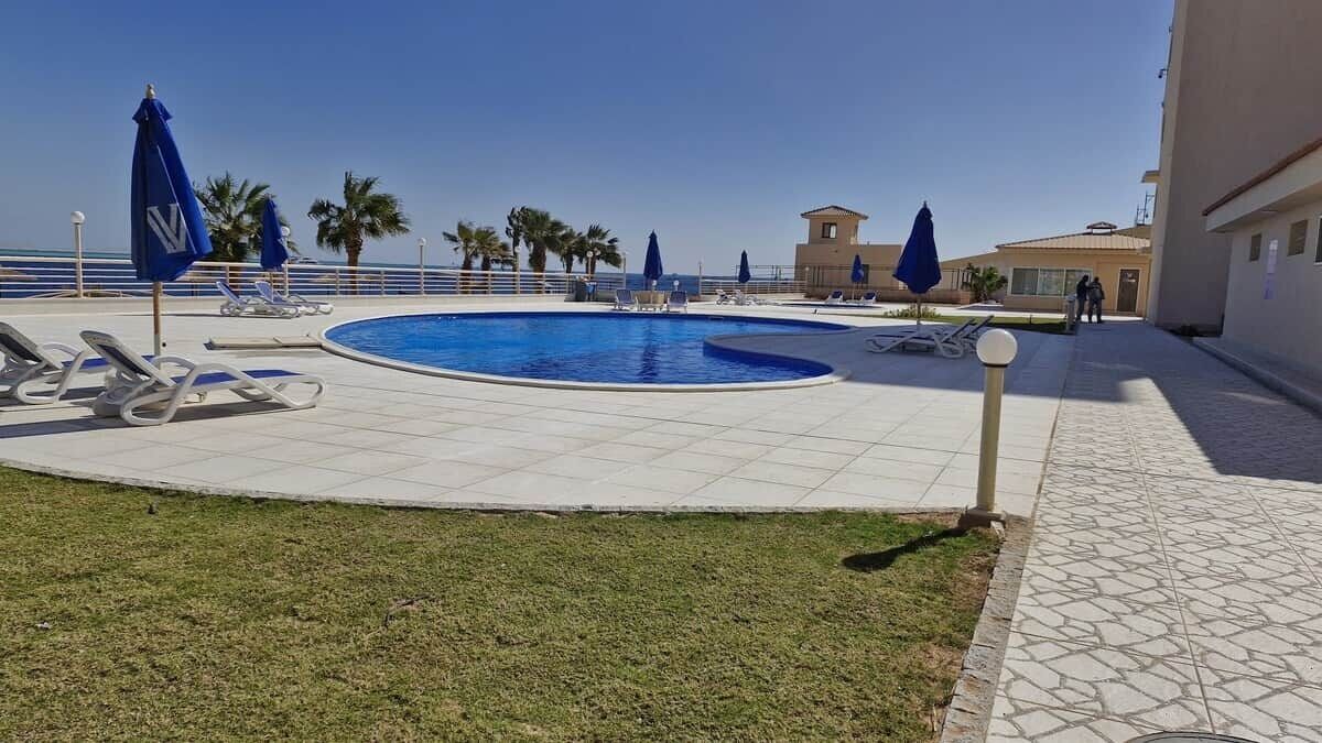 Une piscine entourée d’une terrasse carrelée et de palmiers, avec des chaises longues et des parasols.