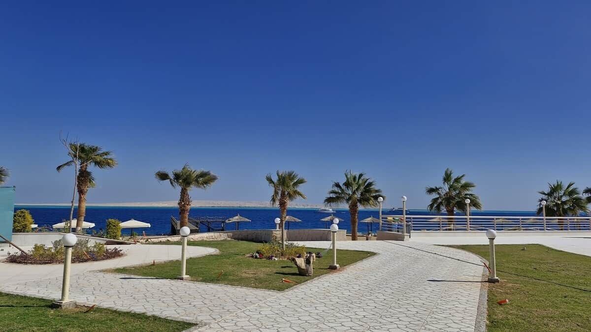 A paved walkway with palm trees, a railing, and a view of the sea.