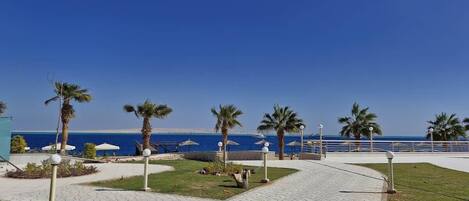 A paved walkway with palm trees, a railing, and a view of the sea.