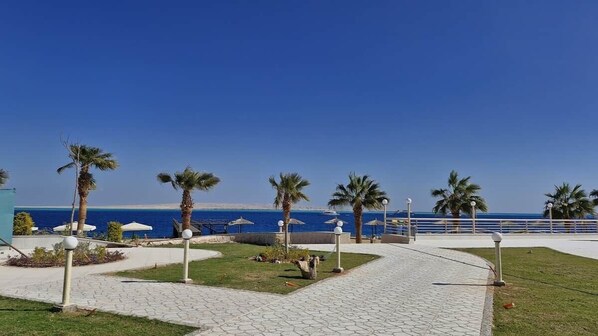 A paved walkway with palm trees, a railing, and a view of the sea.