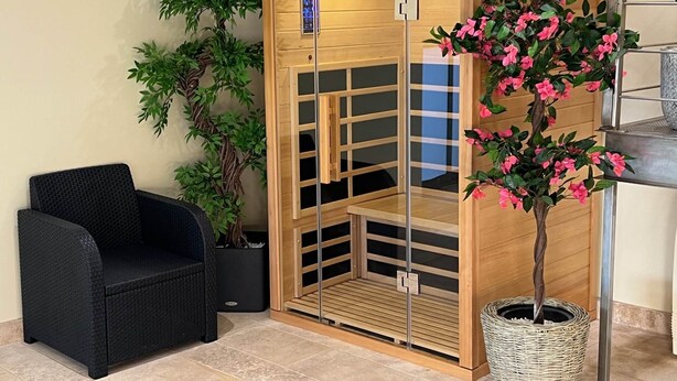 A sauna room with a wooden door, a black chair, and a potted plant with pink flowers. - My little paradise / private indoor pool (Lournand)