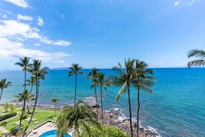 A coastal view with palm trees and a clear blue sky.