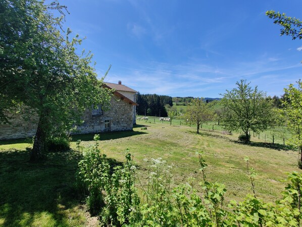 Enceinte de l’hébergement