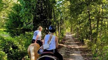 1 dormitori, planxa i posts de planxar i roba de llit