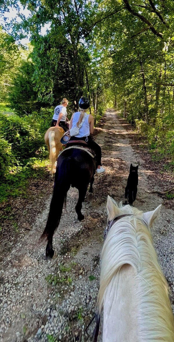 1 slaapkamer, een strijkplank/strijkijzer, beddengoed