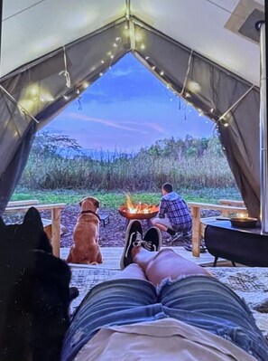 Terrein van de accommodatie