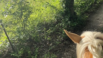 Àrea exterior de l'allotjament