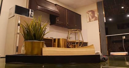 Chic And Cozy Apartment in Downtown