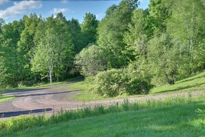 A dirt road winding through a forested area with dense trees and greenery. - Hike, Fish & Unwind! Catskills Studio w/ Mtn Views (Hobart)