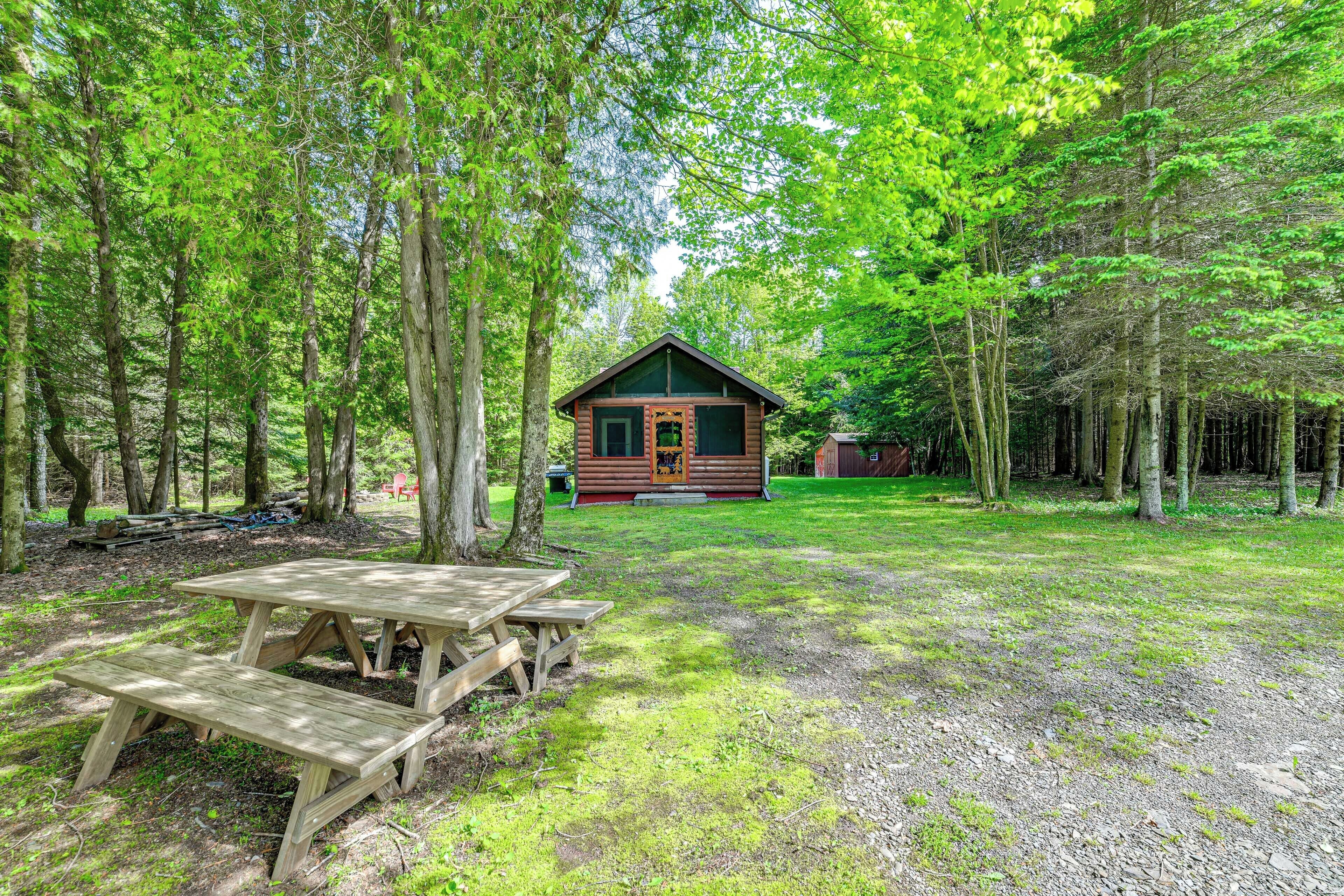 A rustic cabin surrounded by tall trees in a forest.