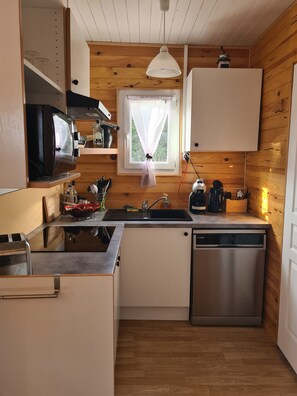 Fridge, microwave, stovetop, dishwasher