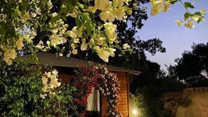 A wooden building with a covered porch, surrounded by lush greenery and flowering plants. - AFFITTACAMERE IL GIRASOLE (Sant'Anna Arresi)