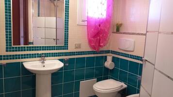 Shower, hair dryer, bathrobes, towels