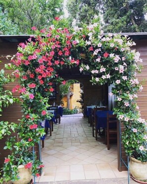 Garden - AFFITTACAMERE IL GIRASOLE (Sant'Anna Arresi)